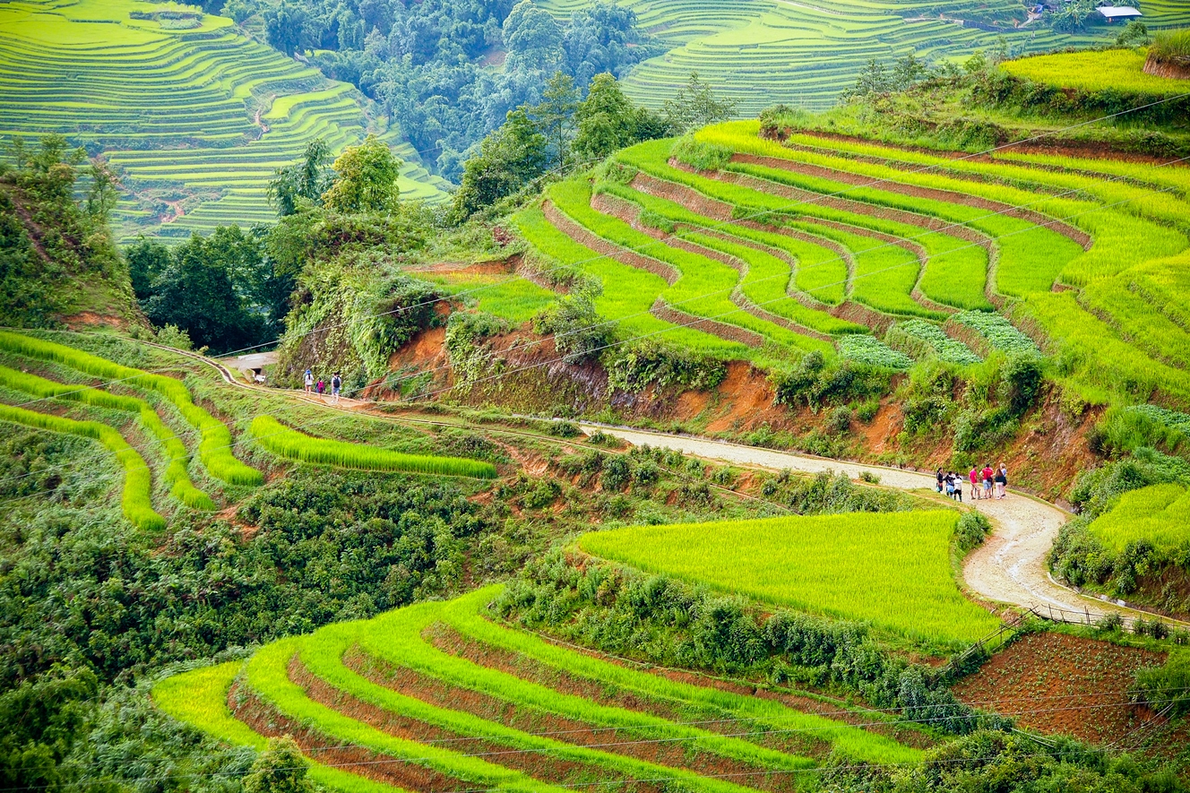 Terrazas de arroz de Sapa durante un viaje a Vietnam
